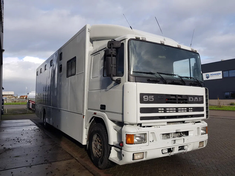 Horse truck DAF 95.350 Paardenwagen met zitverblijf 7 paarden 7 horses: picture 15