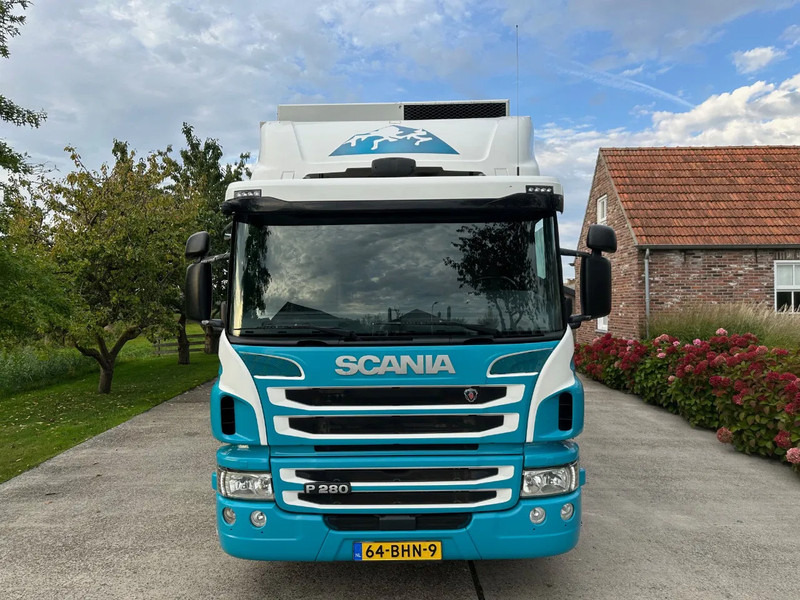 Scania P280 / NL TRUCK / FRIGOBLOCK FK 13(2019) / 2000kg LIFT / TOPCONDITION!! - Refrigerator truck: picture 3 Scania P280 / NL TRUCK / FRIGOBLOCK FK 13(2019) / 2000kg LIFT / TOPCONDITION!! - Refrigerator truck: picture 3