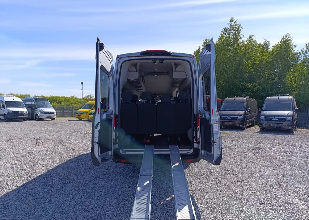 Minibus, Passenger van Ford Transit: picture 7
