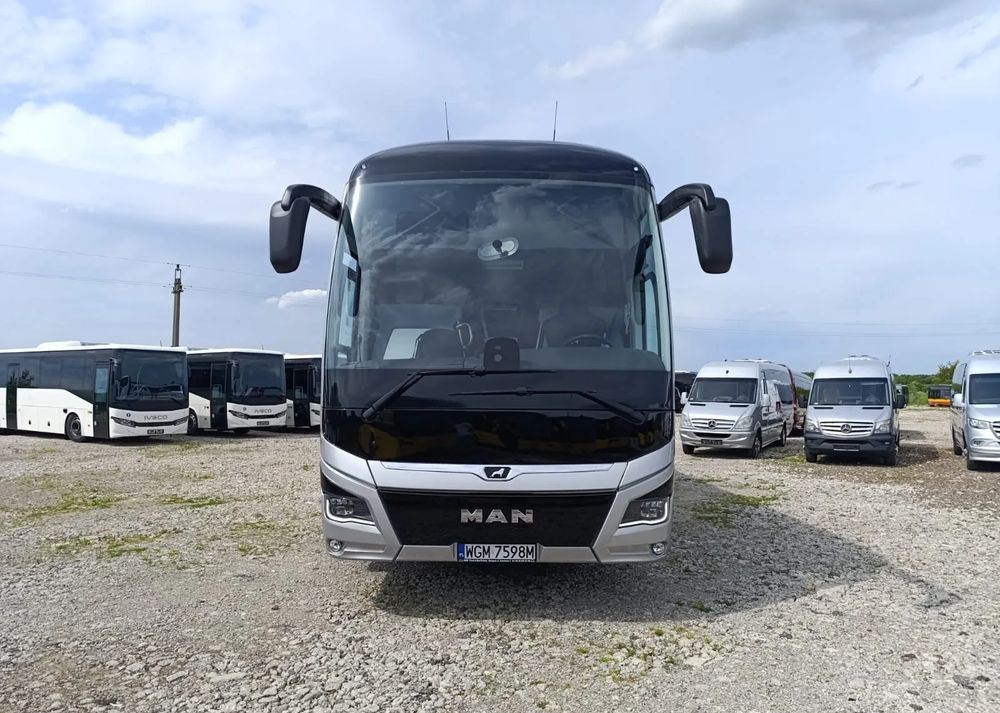 New Coach MAN Lions Coach: picture 12