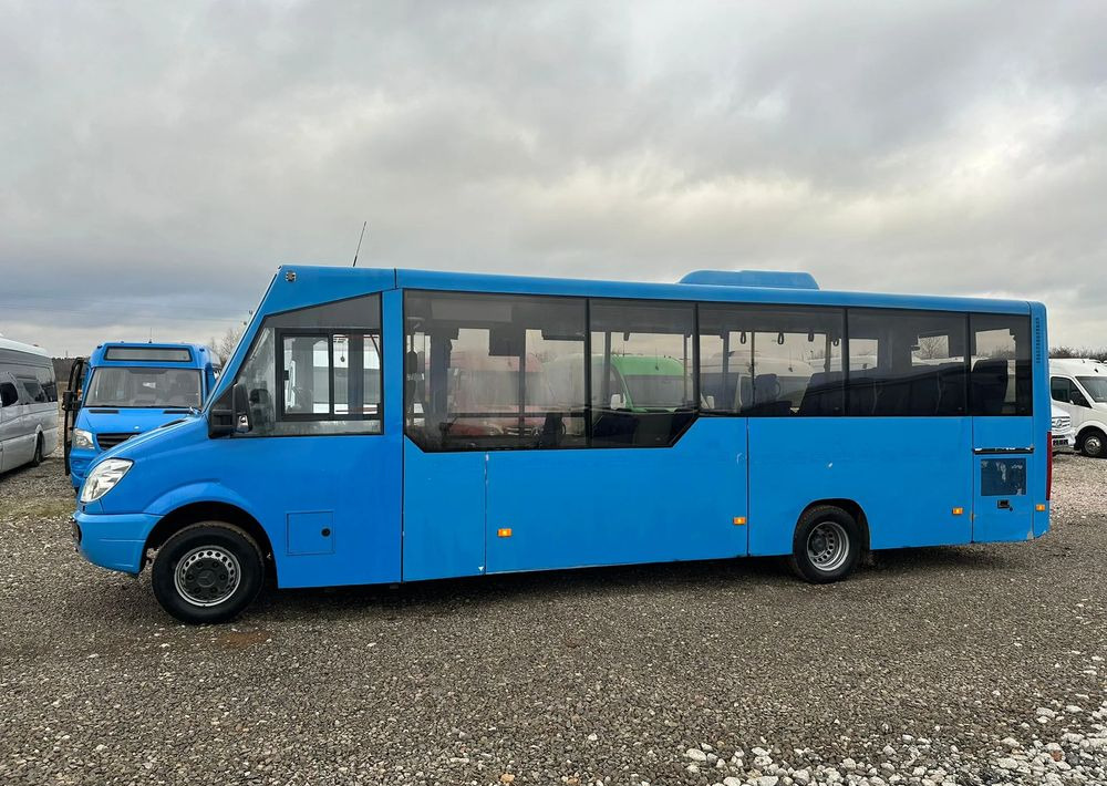 City bus Mercedes-Benz Sprinter 516: picture 6
