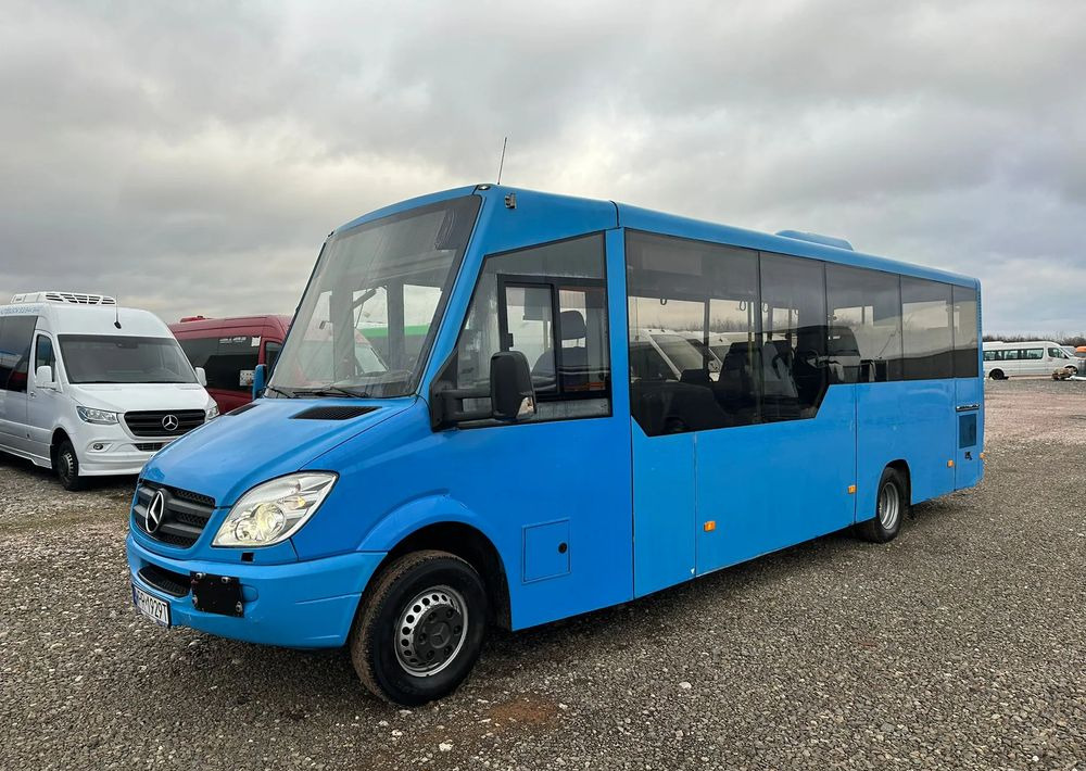 City bus Mercedes-Benz Sprinter 516: picture 8