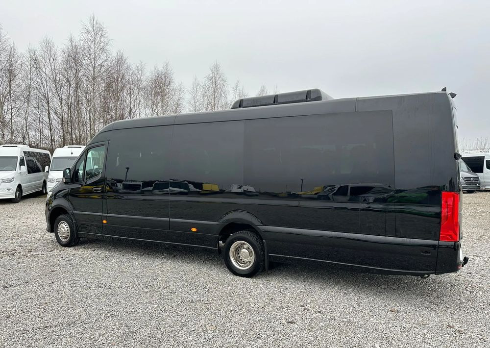 New Minibus, Passenger van Mercedes-Benz Sprinter 519: picture 8