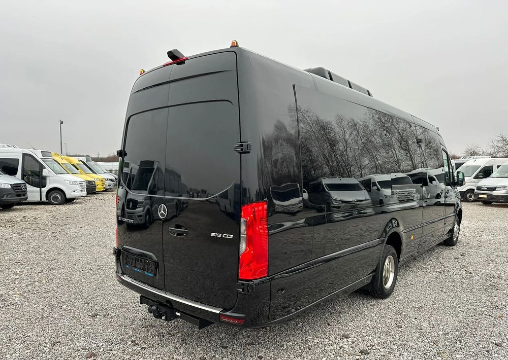 New Minibus, Passenger van Mercedes-Benz Sprinter 519: picture 7