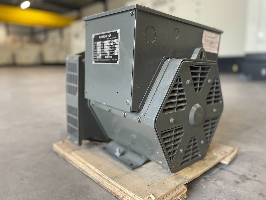 DPX SF-164C - 13 kVA Alternator - DPX-33801 - Generator set: picture 5 DPX SF-164C - 13 kVA Alternator - DPX-33801 - Generator set: picture 5