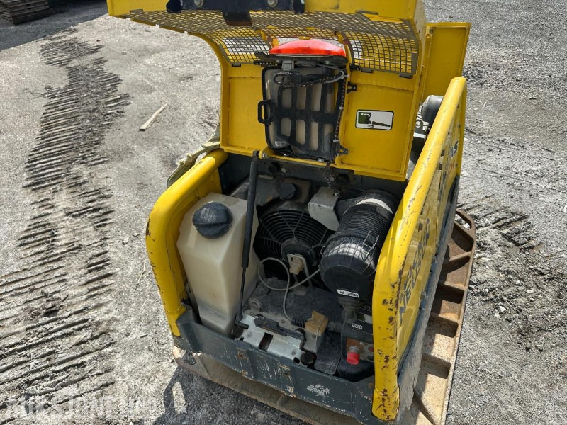 Roller 2016 Wacker Neuson DPU110rLem970 - 142 timer - VIBROPLATE: picture 8