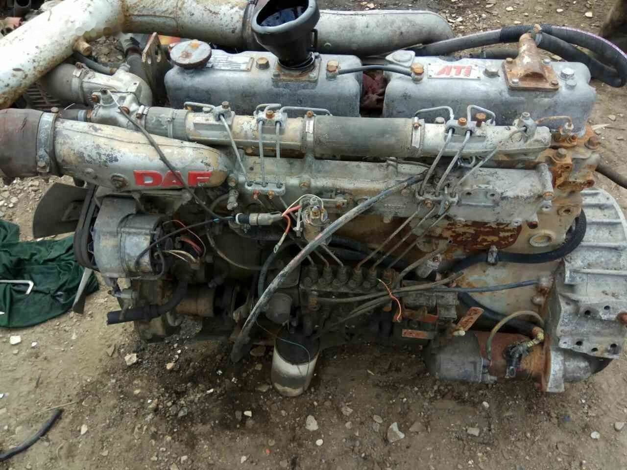 DAF ATI WS259 E2 DAF truck - Engine for Truck: picture 1 DAF ATI WS259 E2 DAF truck - Engine for Truck: picture 1