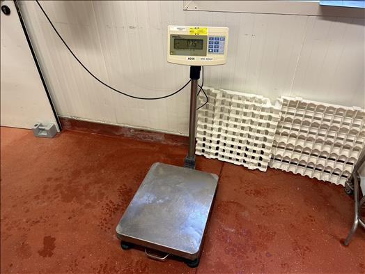Precia Access Mini400 Platform scale - Food processing equipment: picture 1 Precia Access Mini400 Platform scale - Food processing equipment: picture 1