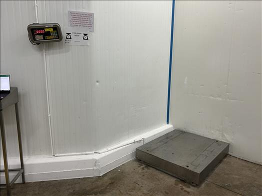 Precia Molen Pallet scale - Food processing equipment: picture 1 Precia Molen Pallet scale - Food processing equipment: picture 1