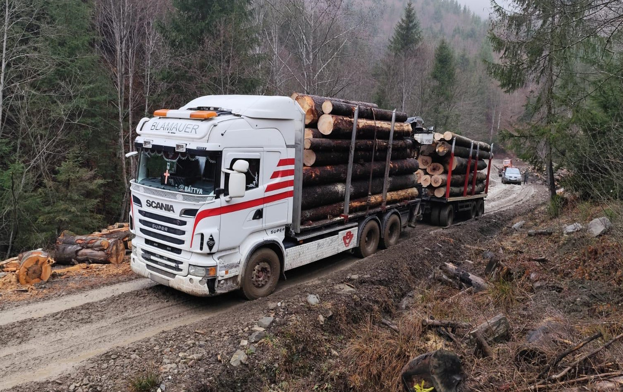 SCANIA R560 V8 - Timber truck, Crane truck: picture 2 SCANIA R560 V8 - Timber truck, Crane truck: picture 2