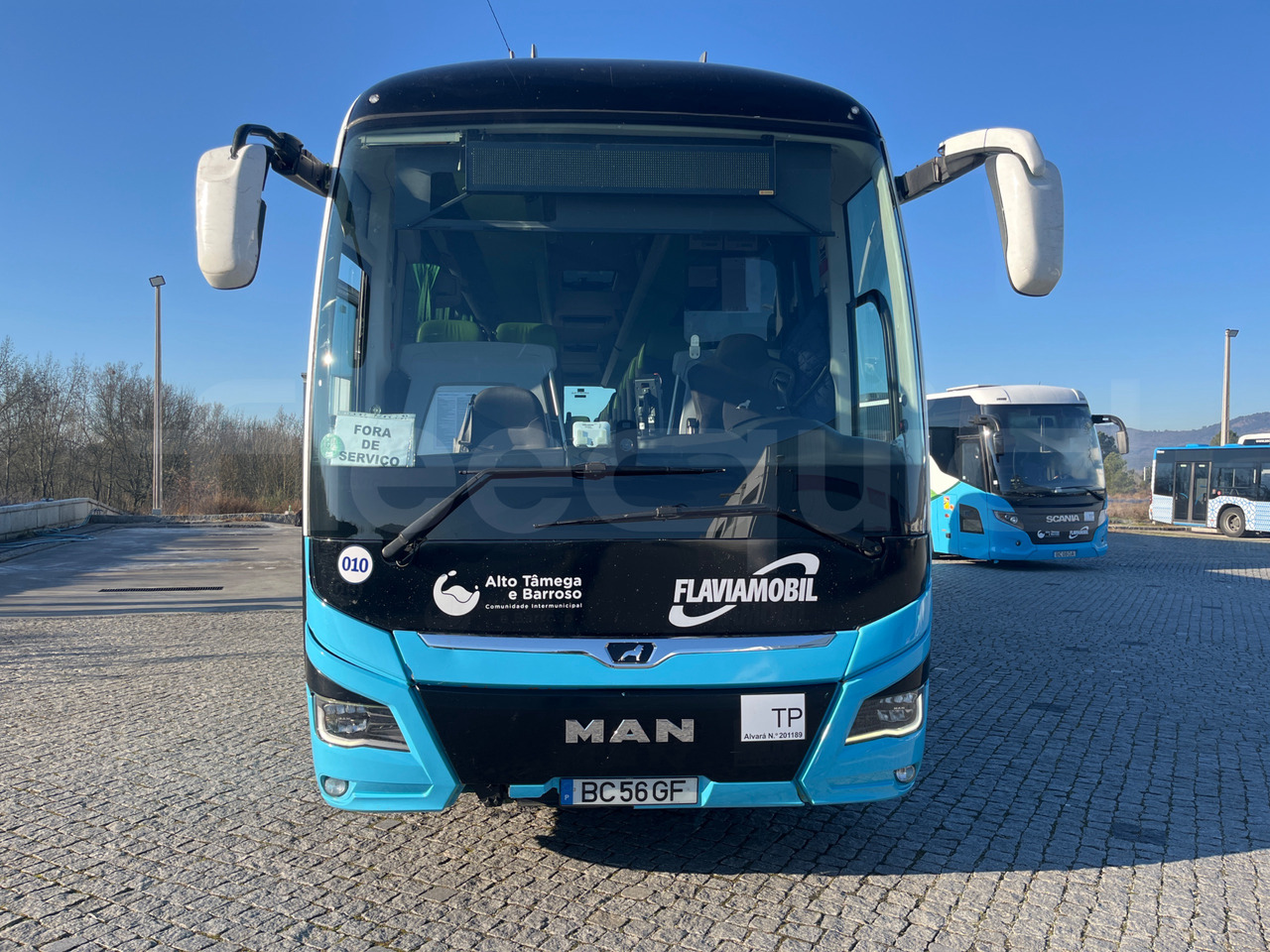 Man Lion's Coach - Coach: picture 2 Man Lion's Coach - Coach: picture 2
