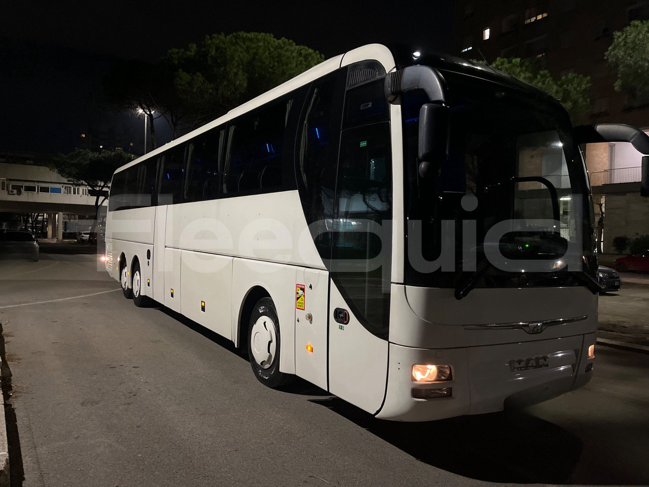 Man Lion's Coach - Coach: picture 1 Man Lion's Coach - Coach: picture 1