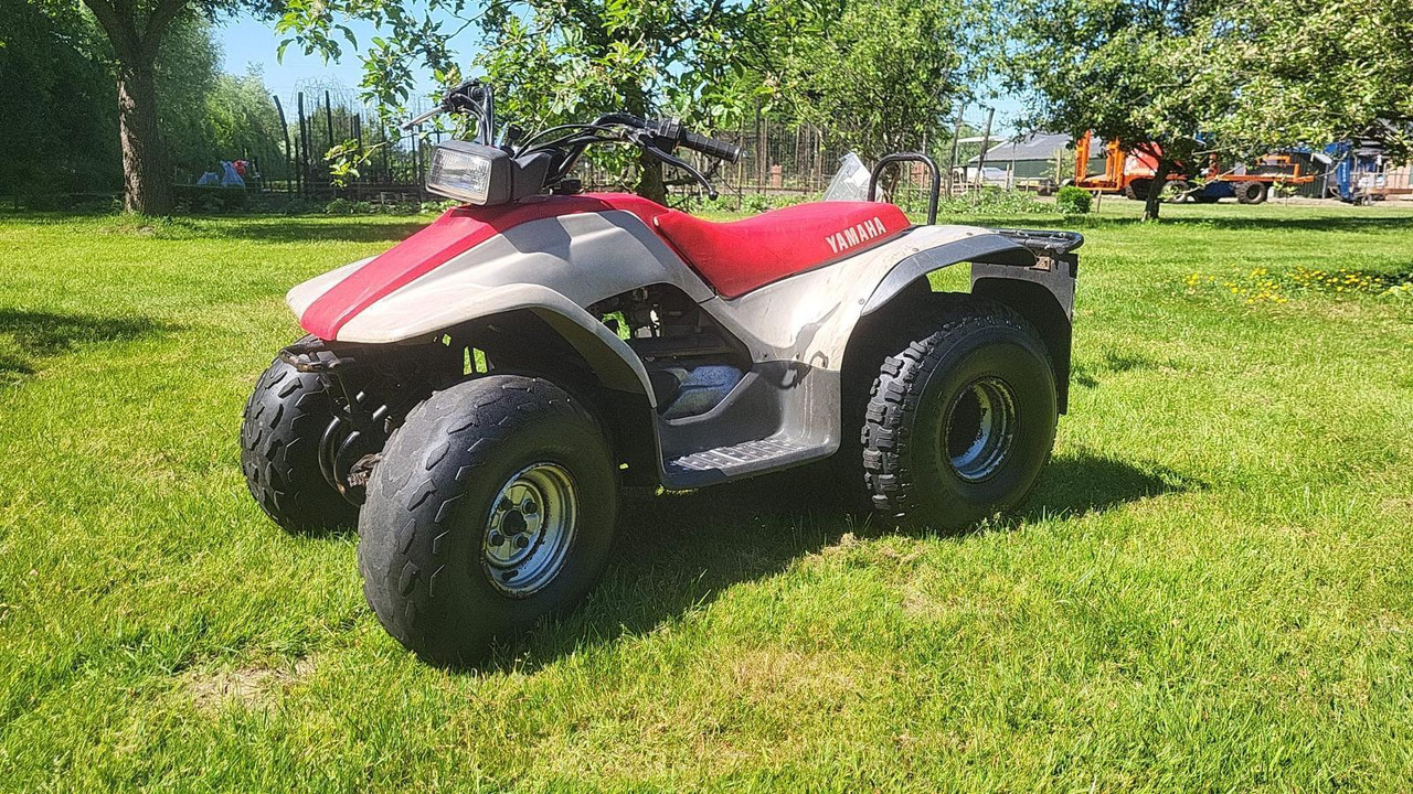 Yamaha BREEZE 125cc Quad T-50-BLG - Side-by-side/ ATV: picture 1 Yamaha BREEZE 125cc Quad T-50-BLG - Side-by-side/ ATV: picture 1