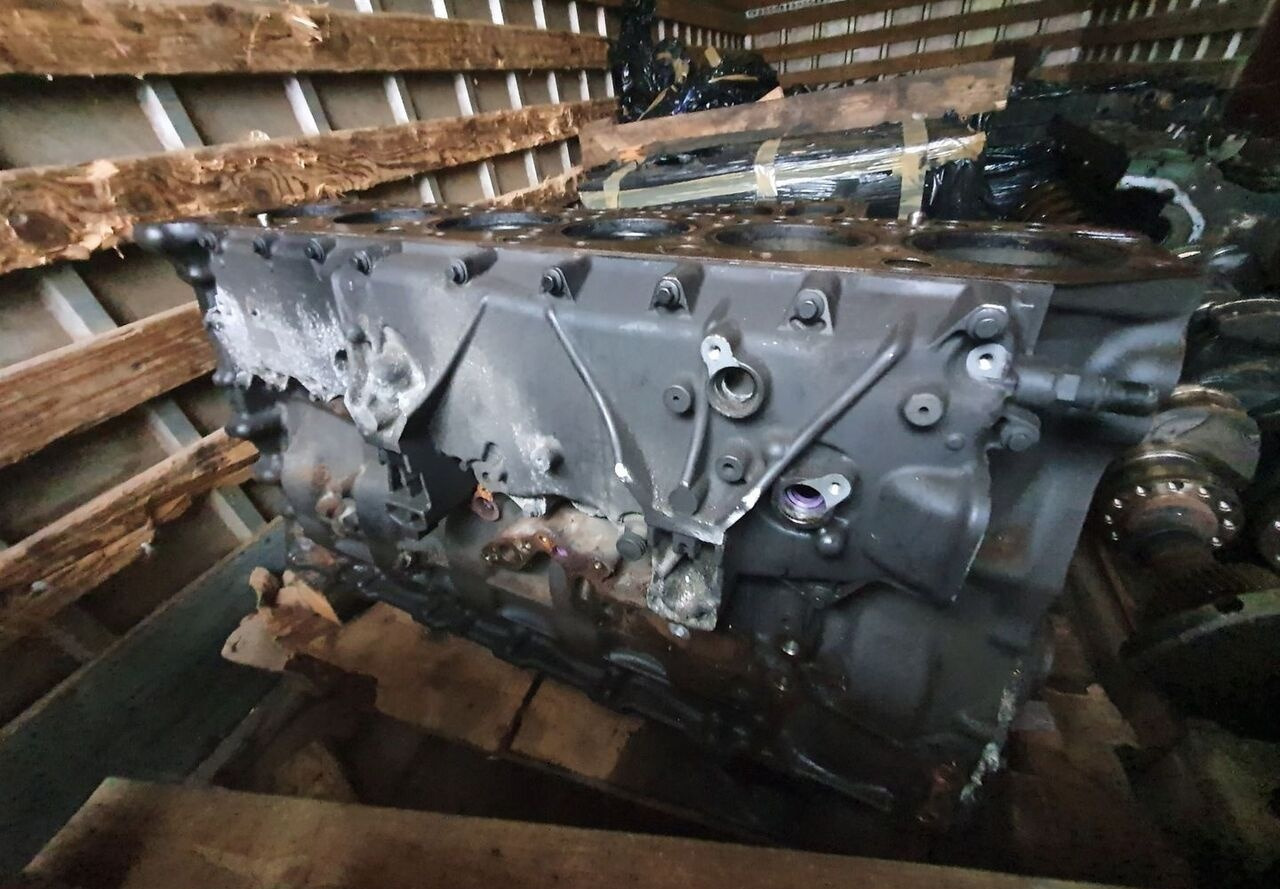 RENAULT BLOK SILNIKA SŁUPEK TŁOKI WAŁ RENAULT GAMA RANGE T DTI11 460 430 - Cylinder block for Truck: picture 1 RENAULT BLOK SILNIKA SŁUPEK TŁOKI WAŁ RENAULT GAMA RANGE T DTI11 460 430 - Cylinder block for Truck: picture 1