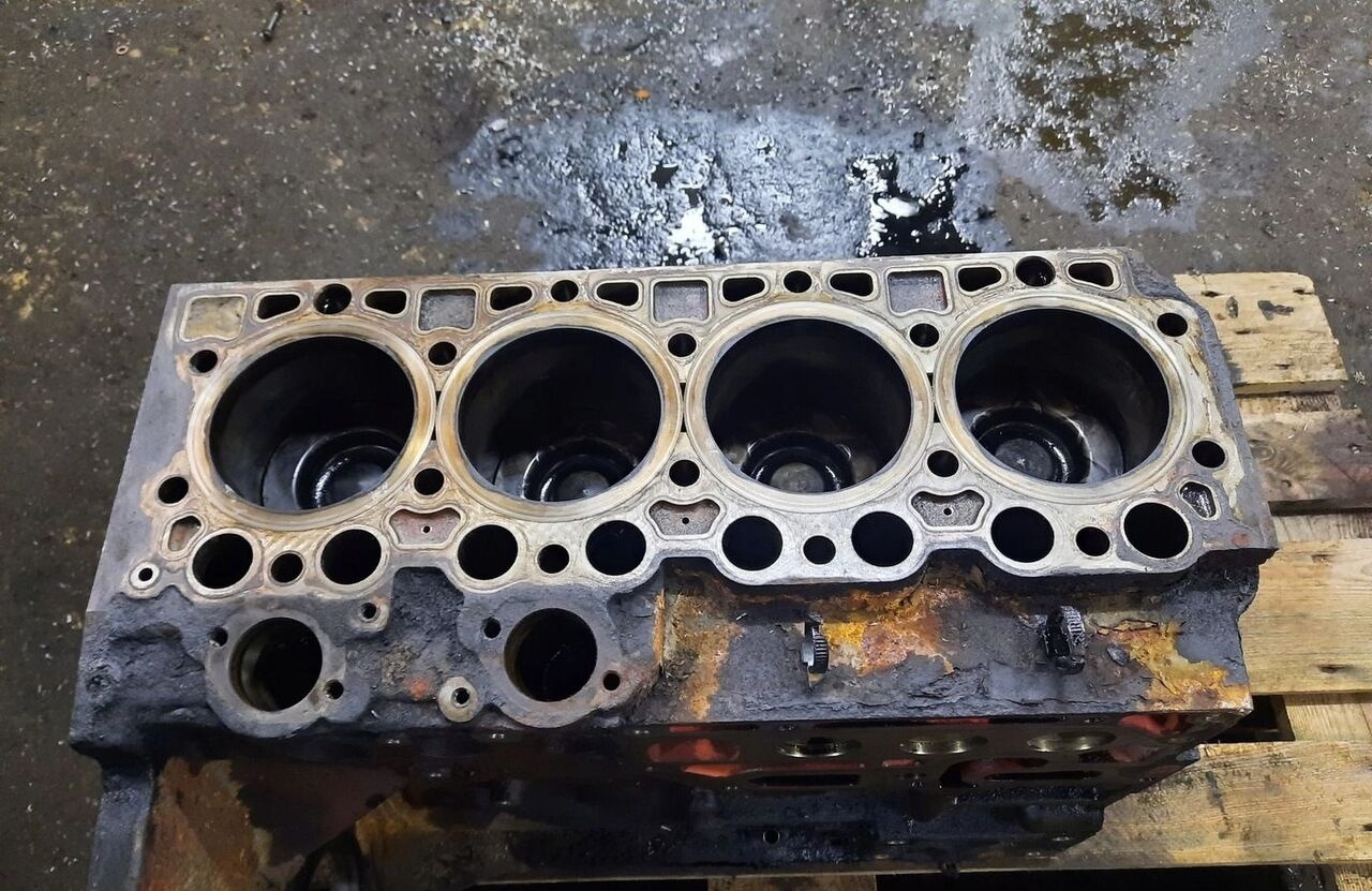 Renault , TŁOKI Z KORBOWODAMI, WAŁ KORBOWY MIDLUM DXI 5 190 220 Renault 5 - Cylinder block for Truck: picture 1 Renault , TŁOKI Z KORBOWODAMI, WAŁ KORBOWY MIDLUM DXI 5 190 220 Renault 5 - Cylinder block for Truck: picture 1