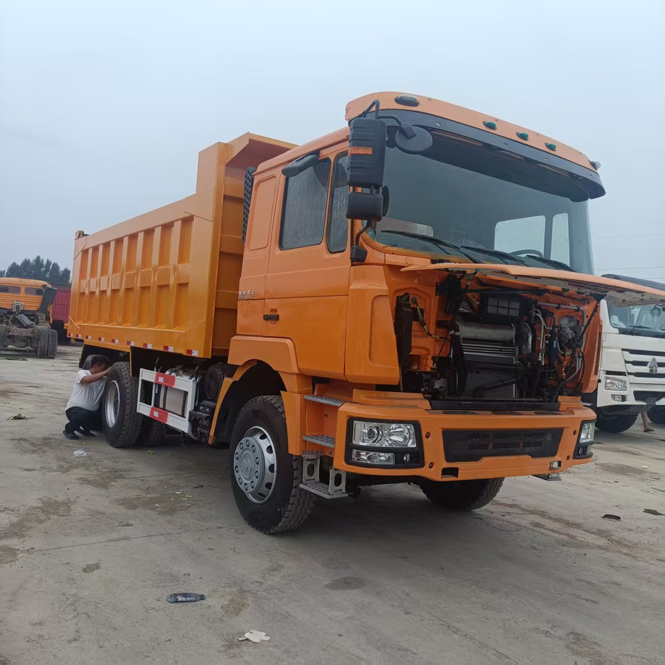SHACMAN F3000 - Tipper: picture 1 SHACMAN F3000 - Tipper: picture 1