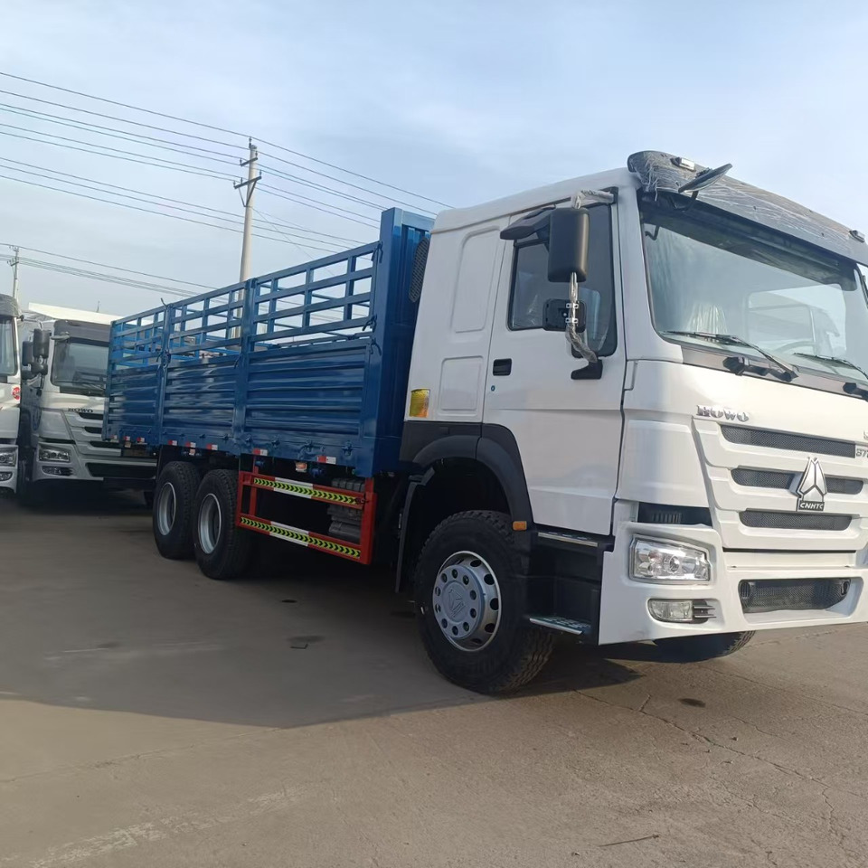 SINOTRUK HOWO - Truck: picture 1 SINOTRUK HOWO - Truck: picture 1