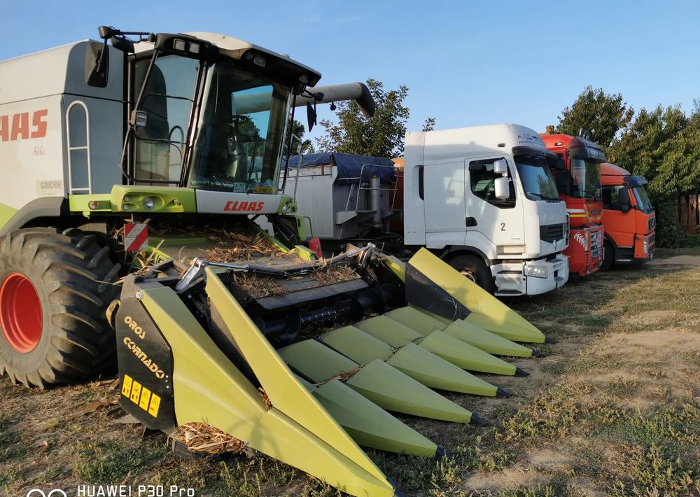 Oros Cornado 6 4+2R Nowa Przystawka do kukurydzy - Corn header: picture 3 Oros Cornado 6 4+2R Nowa Przystawka do kukurydzy - Corn header: picture 3