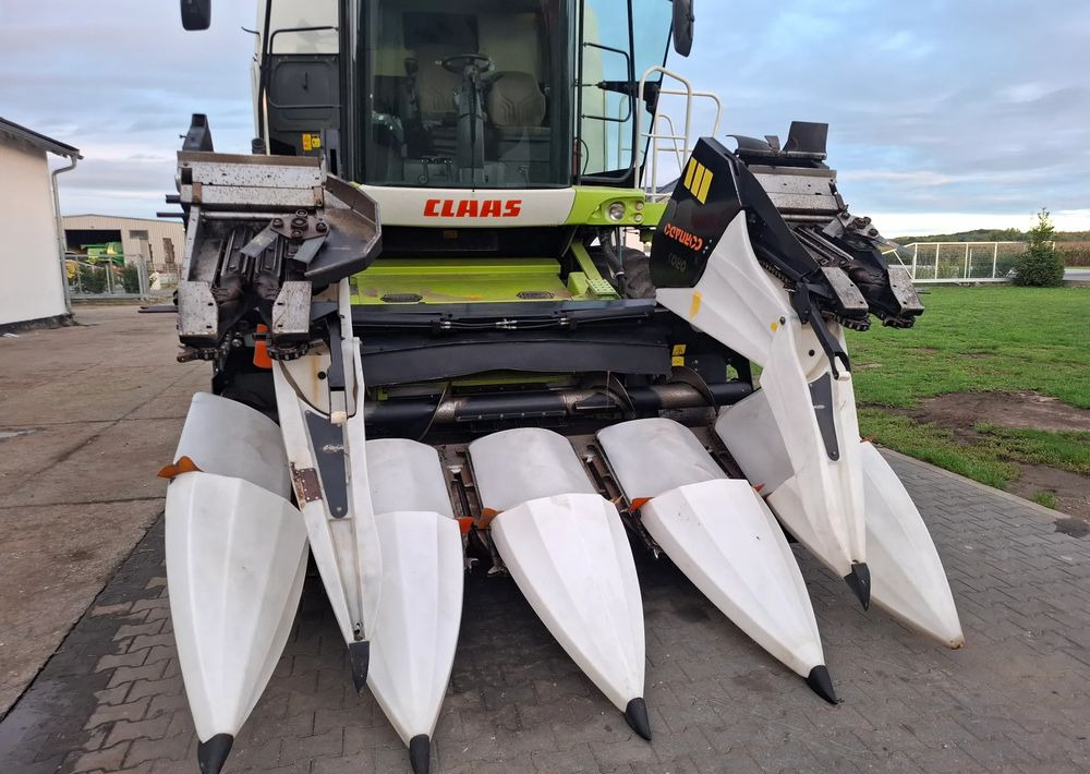 Oros Cornado 6 rzędowy , 2014 rok, Nie Malowany, Stan Bardzo Dobry - Corn header: picture 4 Oros Cornado 6 rzędowy , 2014 rok, Nie Malowany, Stan Bardzo Dobry - Corn header: picture 4