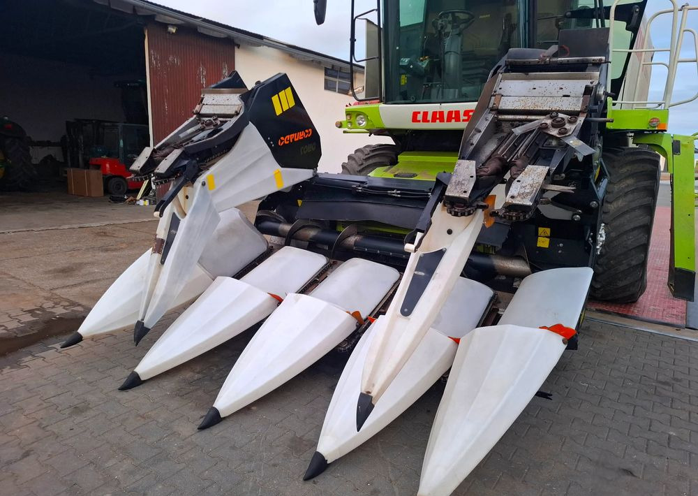 Oros Cornado 6 rzędowy , 2014 rok, Nie Malowany, Stan Bardzo Dobry - Corn header: picture 2 Oros Cornado 6 rzędowy , 2014 rok, Nie Malowany, Stan Bardzo Dobry - Corn header: picture 2