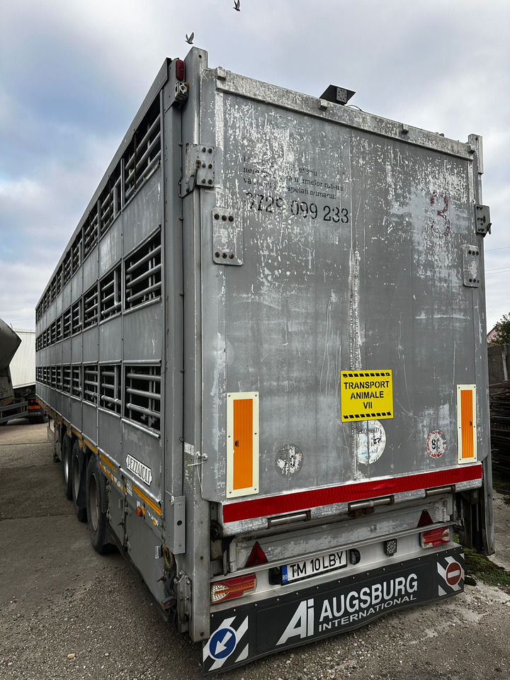 PEZZAIOLLI Animal Transport Semi-trailer - Livestock semi-trailer: picture 4 PEZZAIOLLI Animal Transport Semi-trailer - Livestock semi-trailer: picture 4