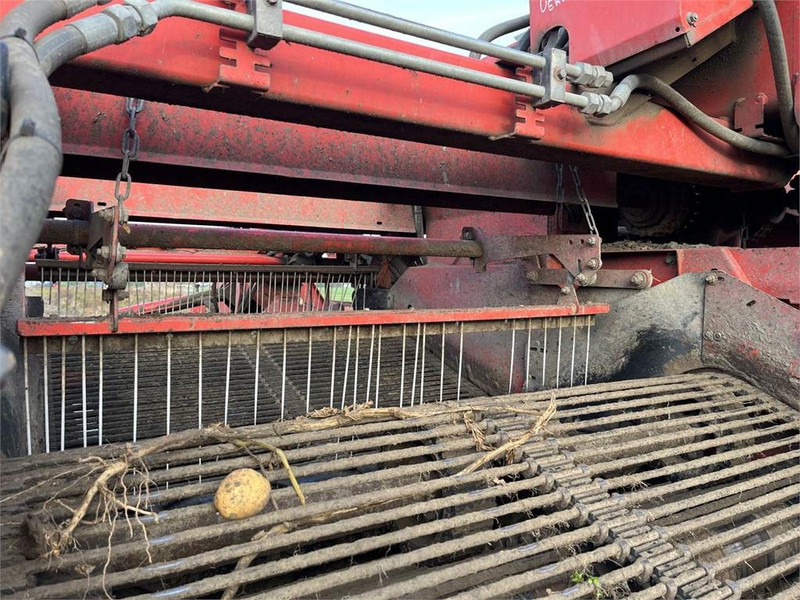 Potato harvester for transportation of food Grimme GV 3000: picture 11