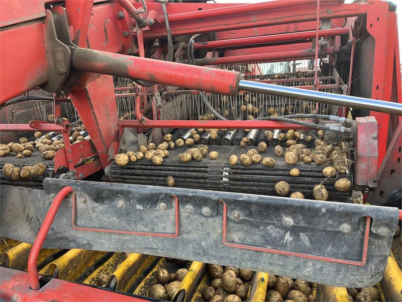 Potato harvester for transportation of food Grimme GV 3000: picture 6