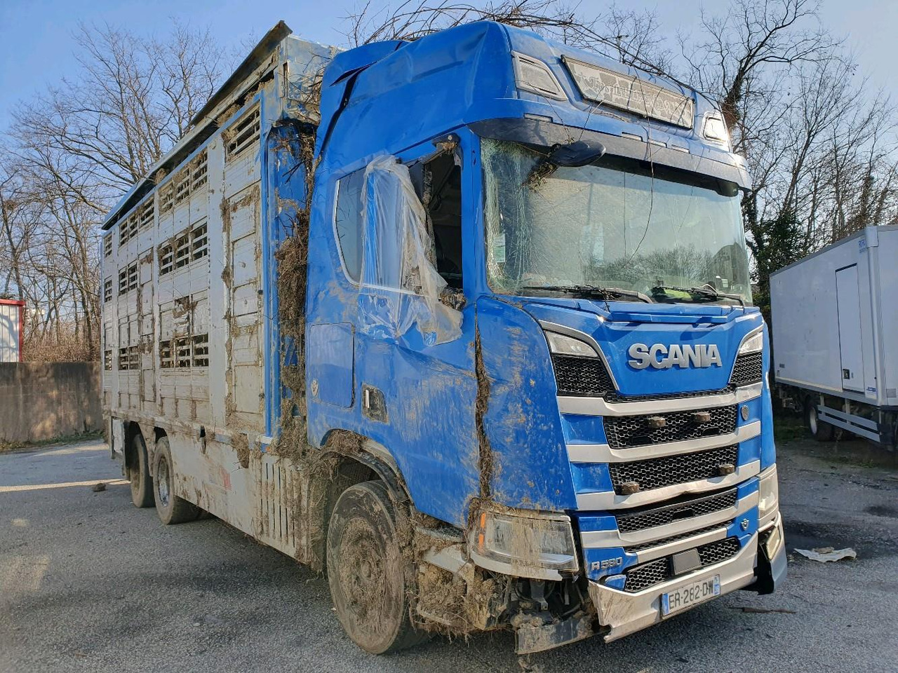 SCANIA R580 - Livestock truck: picture 1 SCANIA R580 - Livestock truck: picture 1
