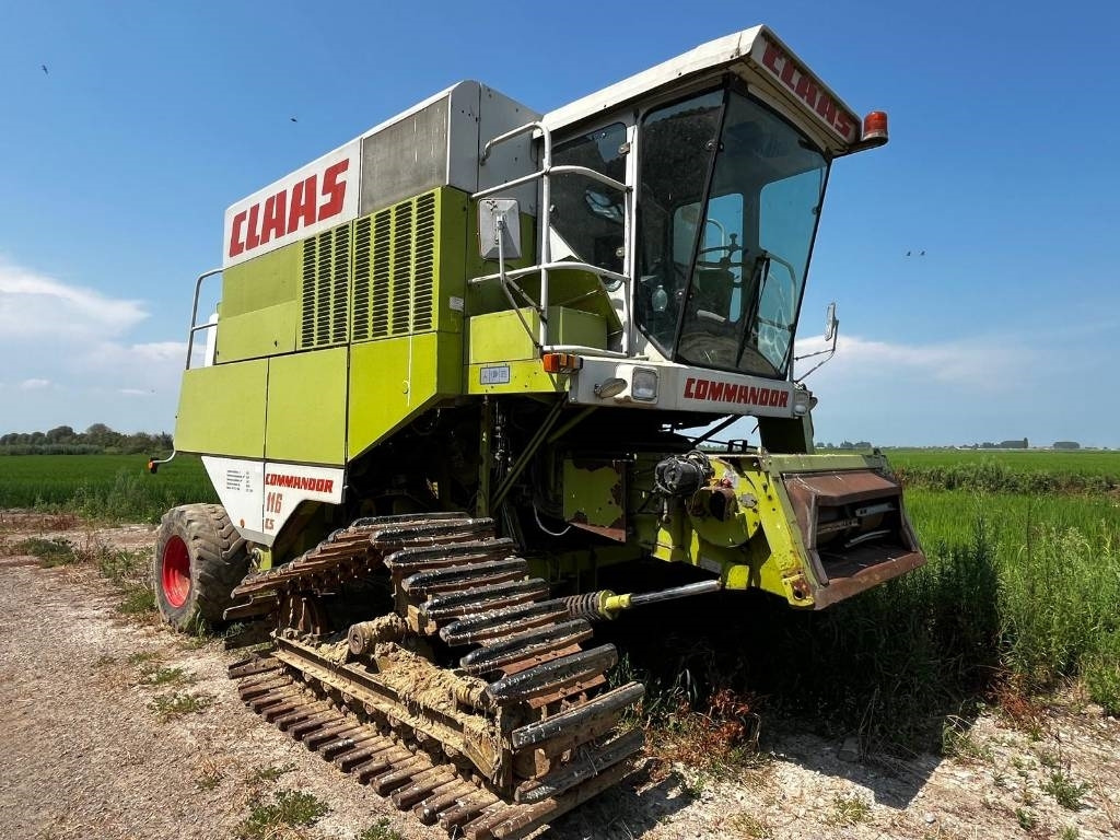 Claas COMMANDOR 116 CS RISO - Combine harvester: picture 1 Claas COMMANDOR 116 CS RISO - Combine harvester: picture 1