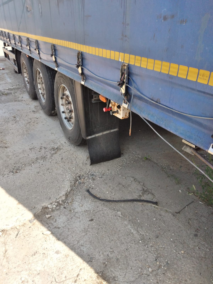 Semirimorchio centinato - Curtainsider semi-trailer: picture 4 Semirimorchio centinato - Curtainsider semi-trailer: picture 4