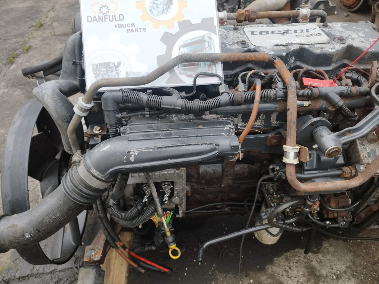 IVECO F4AE0681 B IVECO EuroCargo I-III - Engine for Truck: picture 1 IVECO F4AE0681 B IVECO EuroCargo I-III - Engine for Truck: picture 1