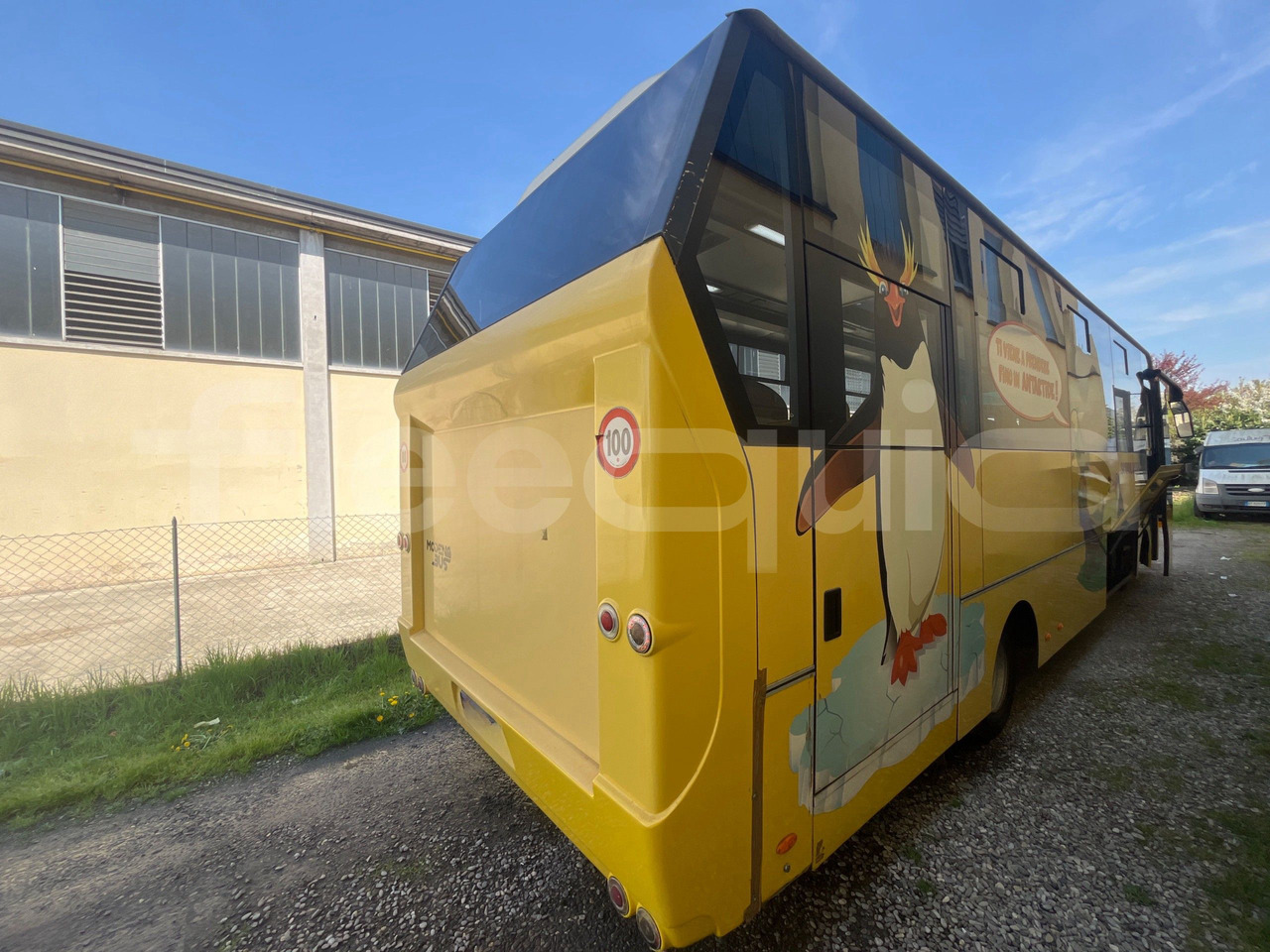 School bus Daf Truck N.V. Calliope: picture 9