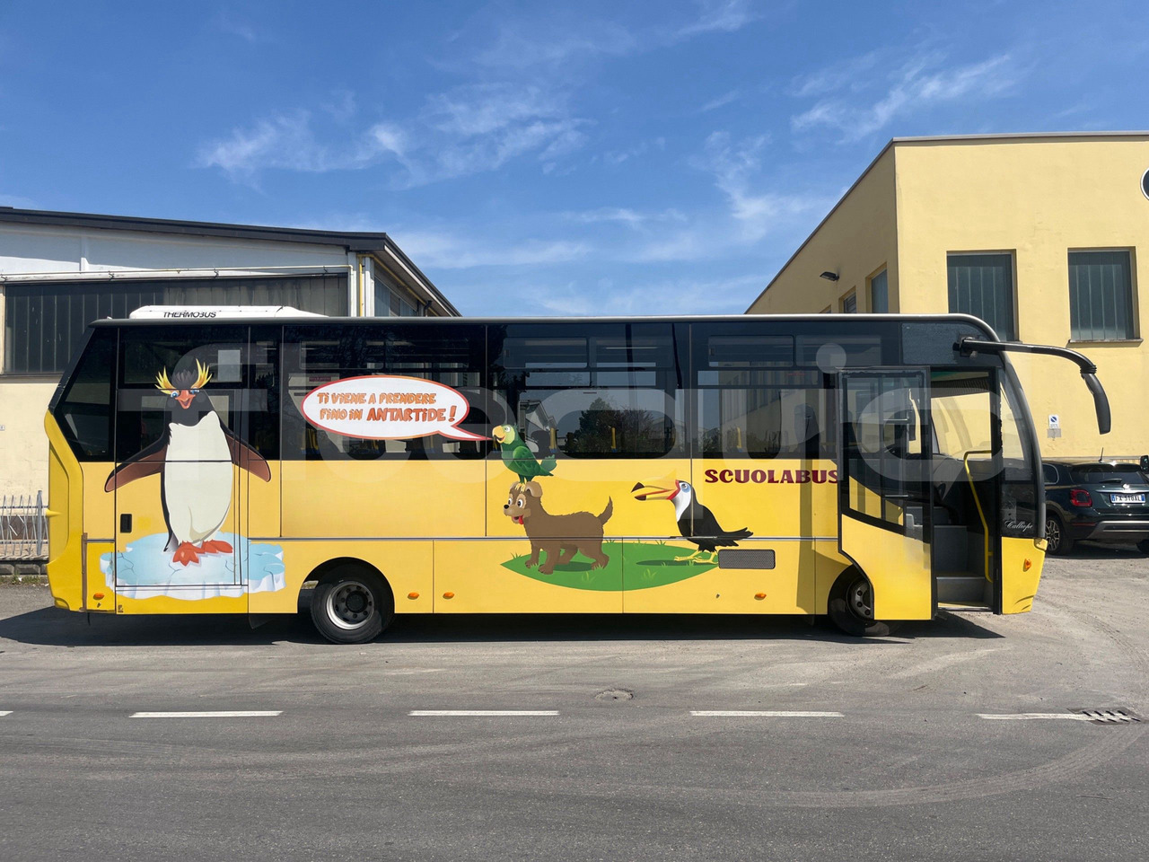 School bus Daf Truck N.V. Calliope: picture 11