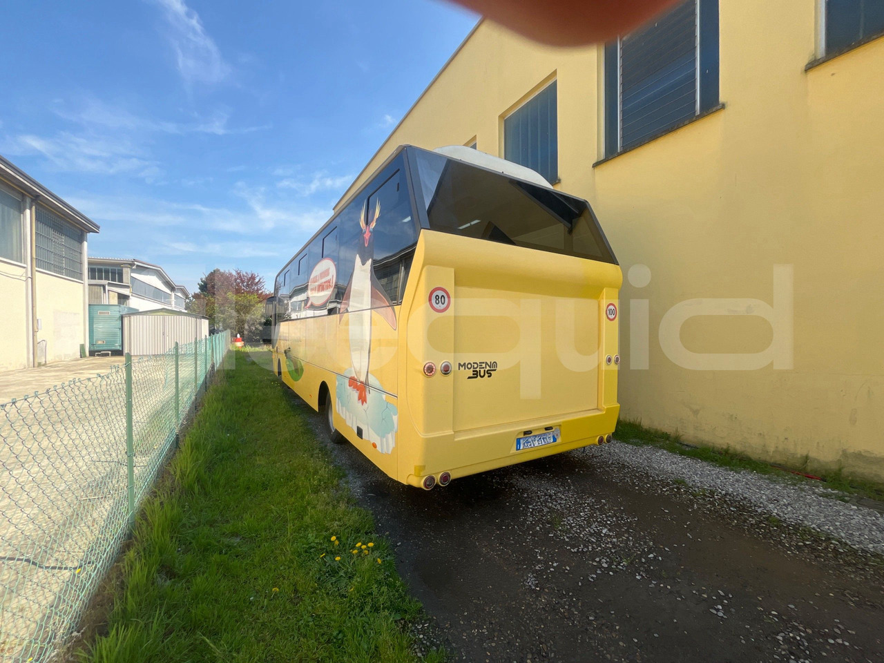 School bus Daf Truck N.V. Calliope: picture 8