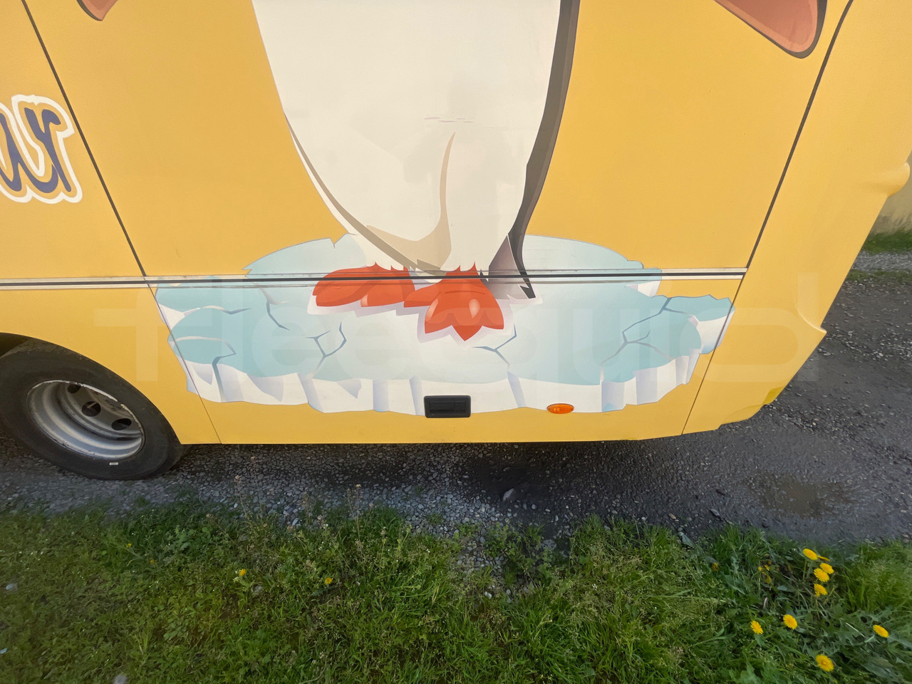 School bus Daf Truck N.V. Calliope: picture 15
