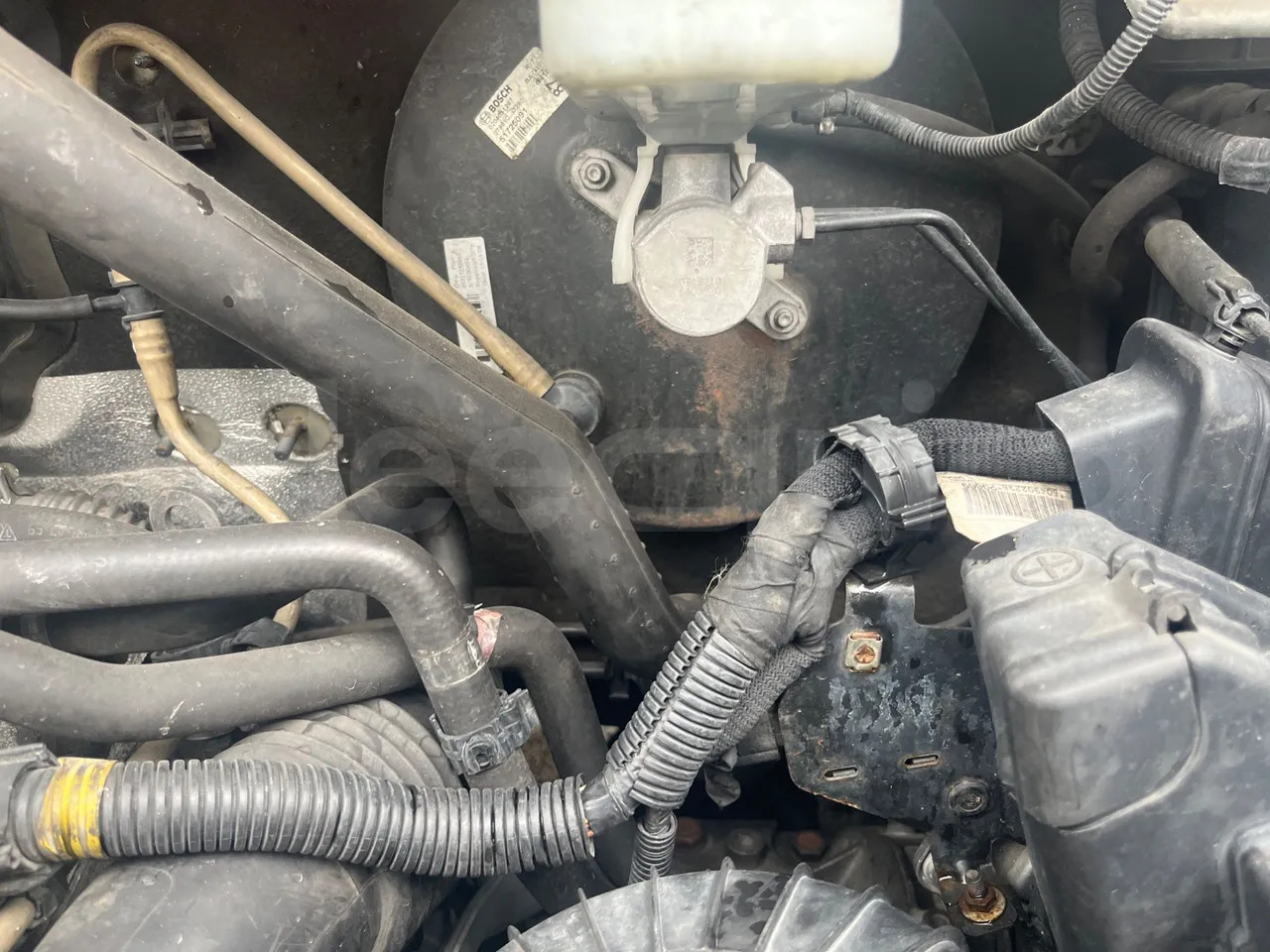 Suburban bus Fiat Ducato: picture 20