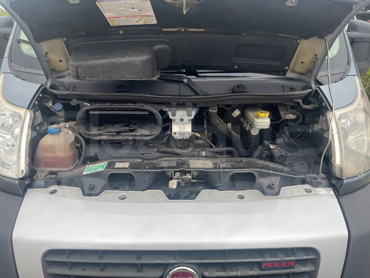 Suburban bus Fiat Ducato: picture 17