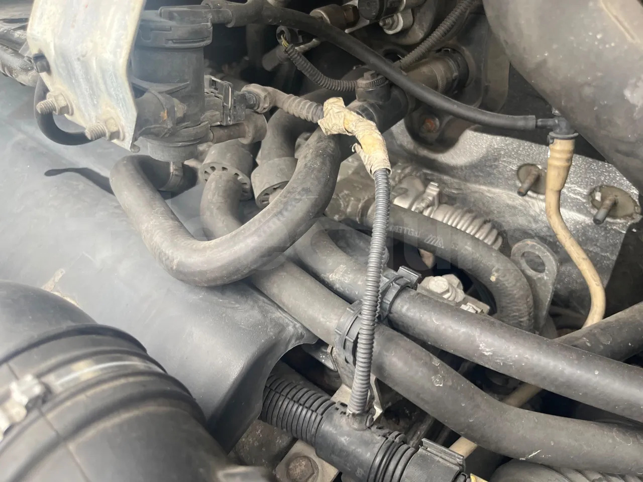 Suburban bus Fiat Ducato: picture 19