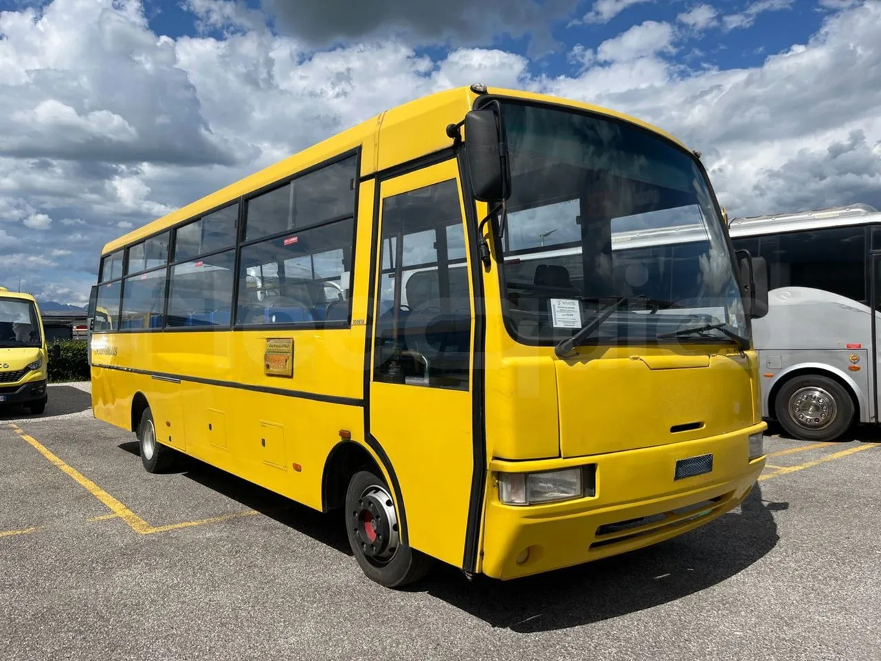 Iveco Cacciamali - School bus: picture 1 Iveco Cacciamali - School bus: picture 1