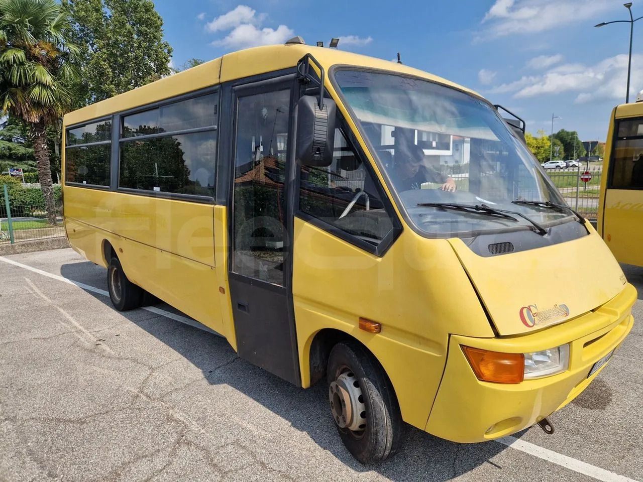 Iveco Cacciamali - School bus: picture 1 Iveco Cacciamali - School bus: picture 1