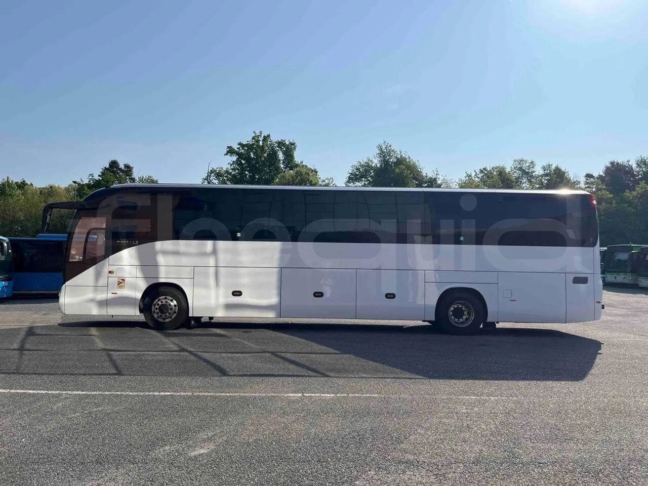 Iveco Magelys - Coach: picture 3 Iveco Magelys - Coach: picture 3