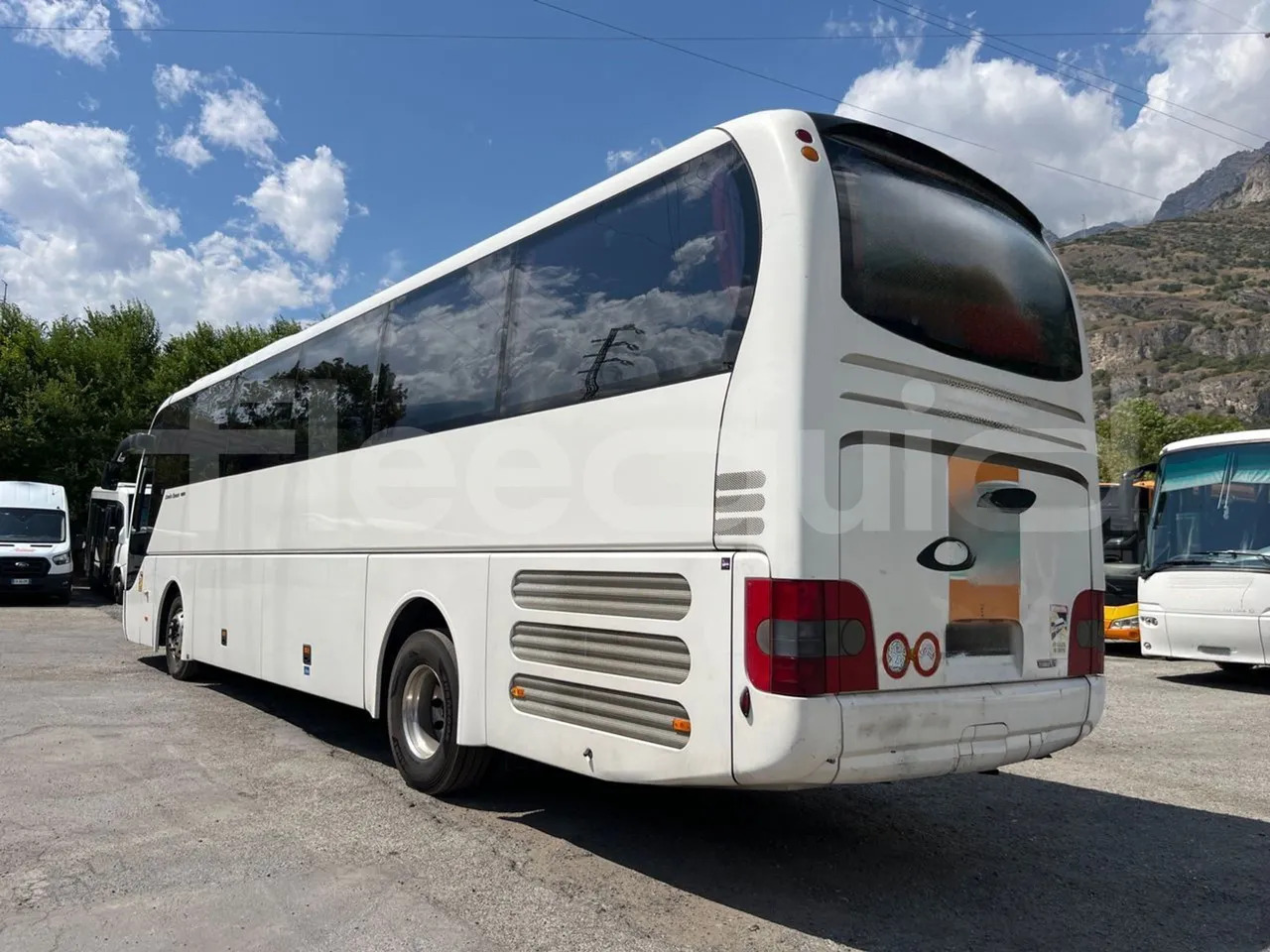 Coach Man Lion's Coach: picture 9