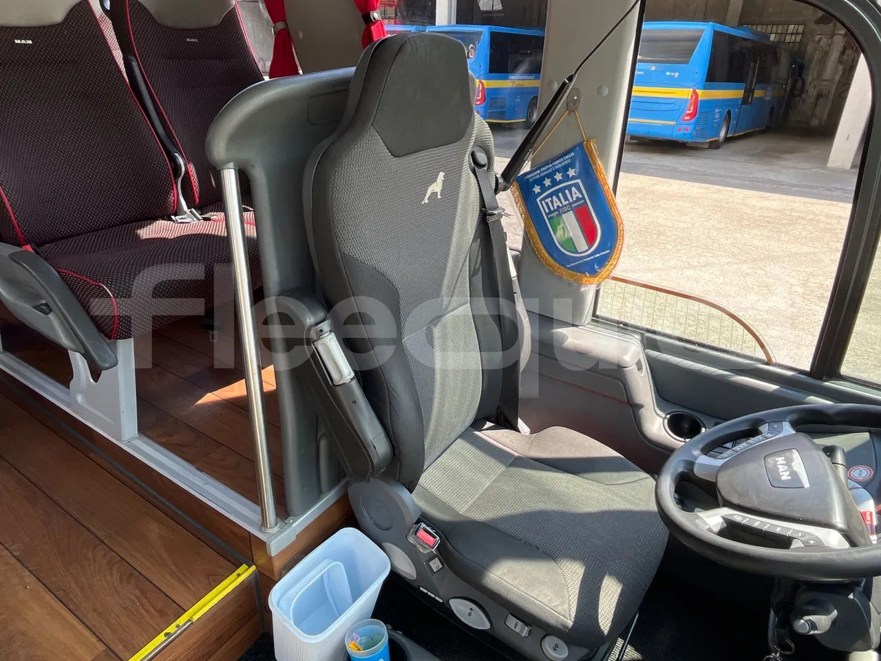 Coach Man Lion's Coach: picture 20