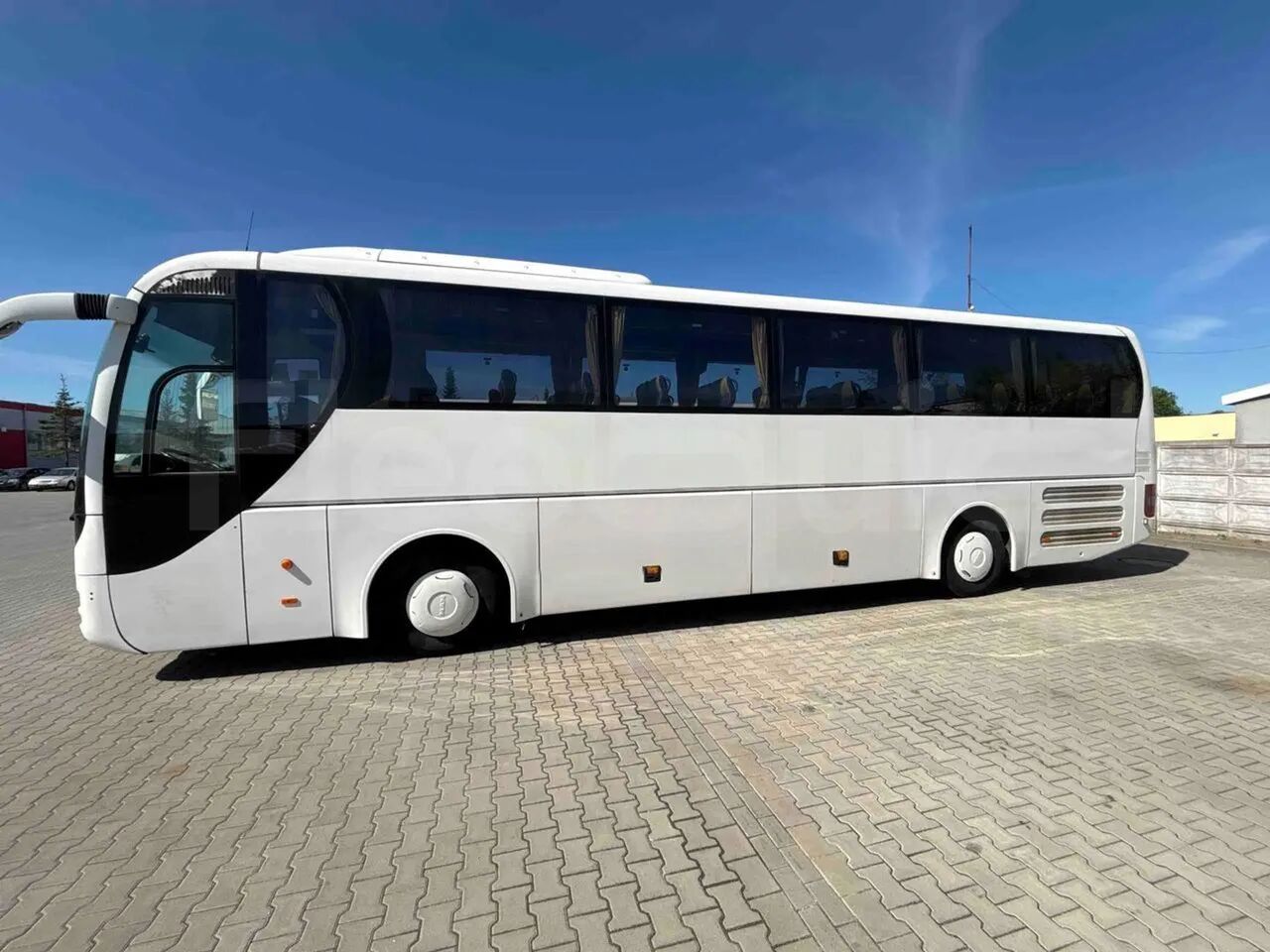 Man Lion's Coach - Coach: picture 3 Man Lion's Coach - Coach: picture 3
