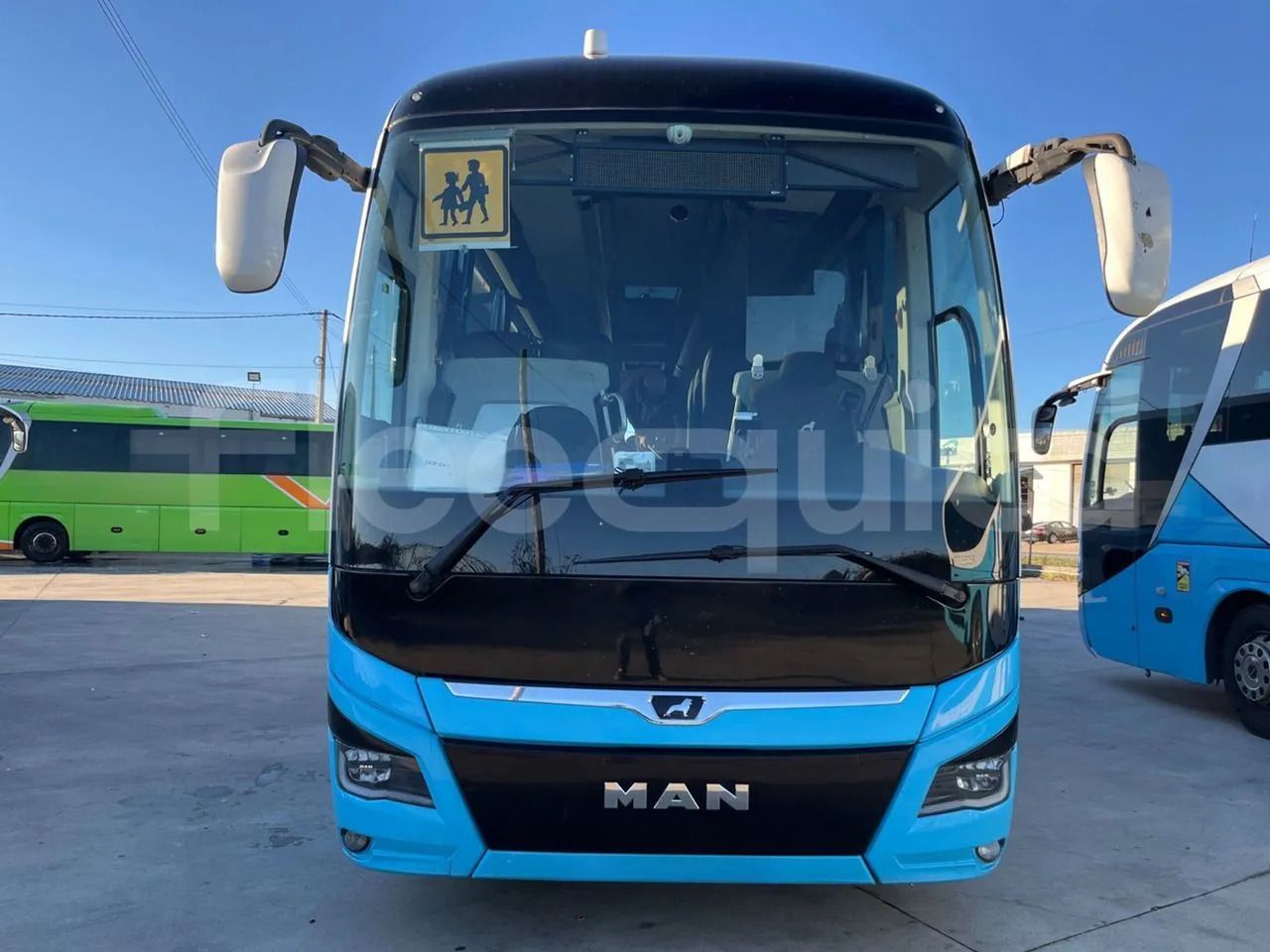 Man Lion's Coach - Coach: picture 2 Man Lion's Coach - Coach: picture 2