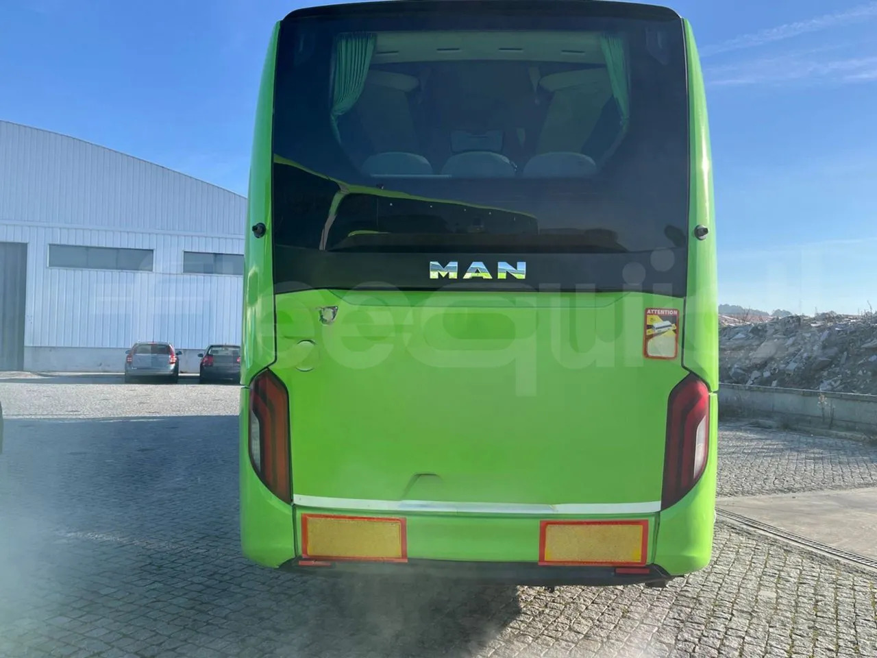 Man Lion's Coach - Coach: picture 5 Man Lion's Coach - Coach: picture 5