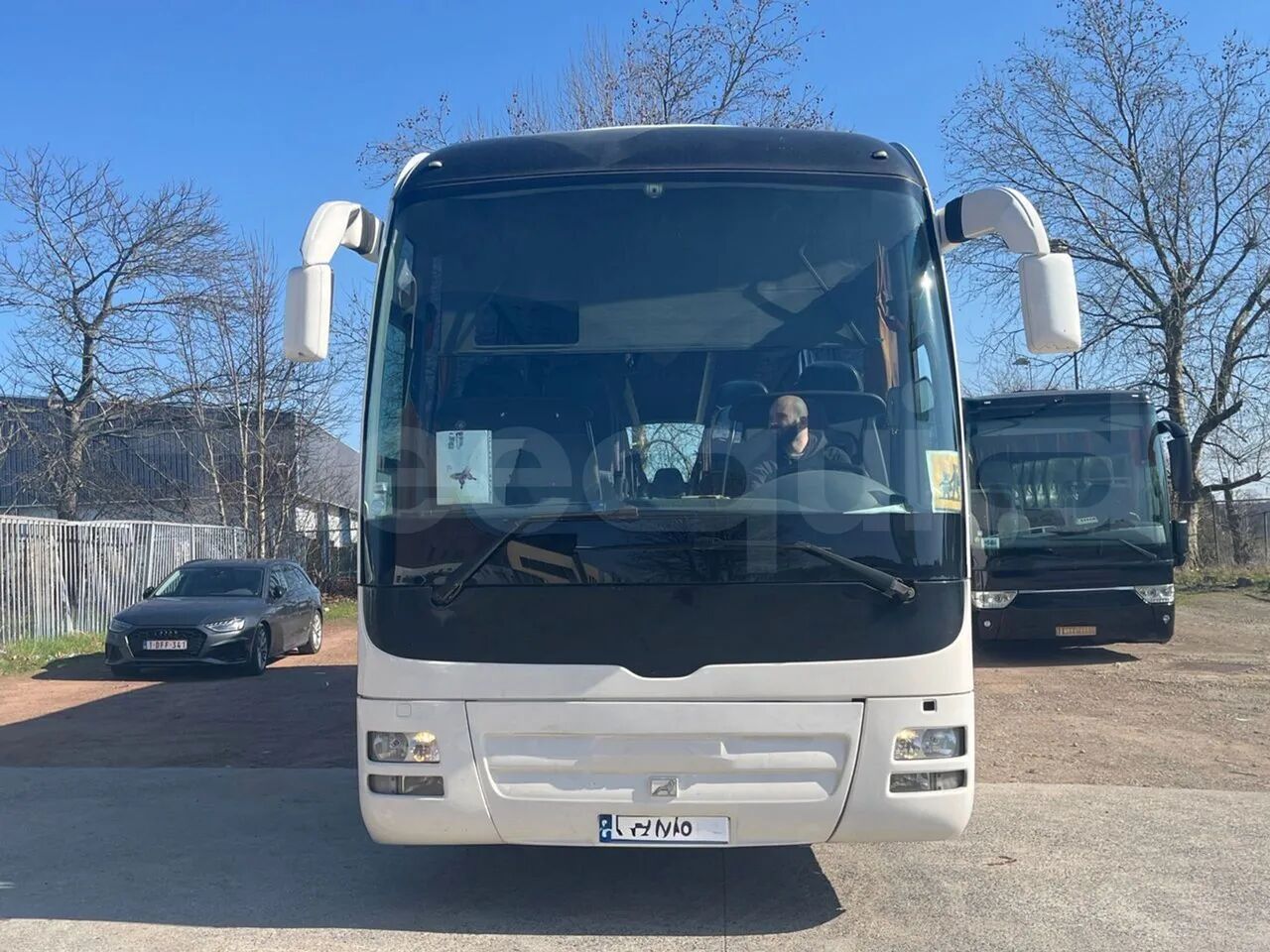 Man Lion's Coach - Coach: picture 1 Man Lion's Coach - Coach: picture 1