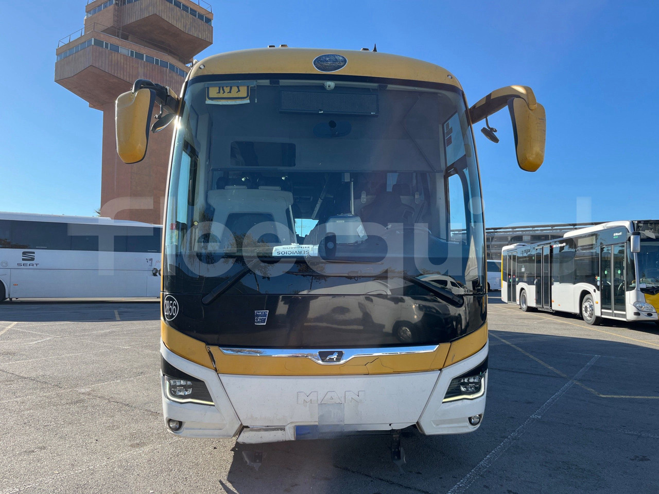 Man Lion's Coach - Coach: picture 2 Man Lion's Coach - Coach: picture 2