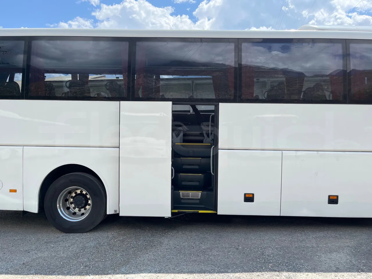 Coach Man Lion's Coach: picture 16