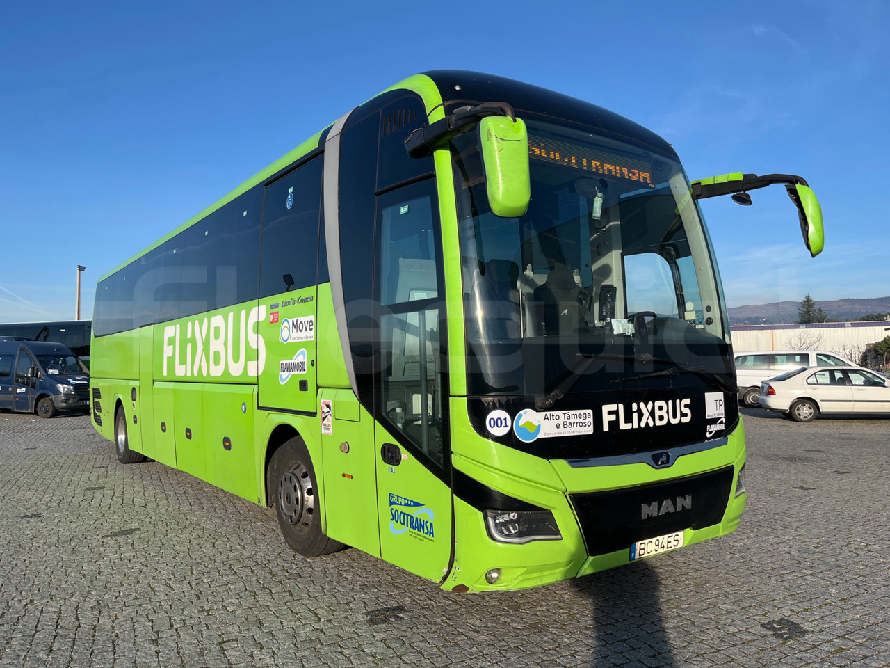 Man Lion's Coach - Coach: picture 1 Man Lion's Coach - Coach: picture 1